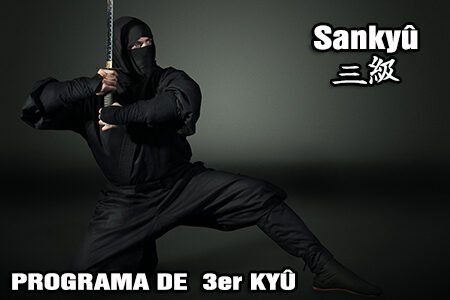 3er Kyū